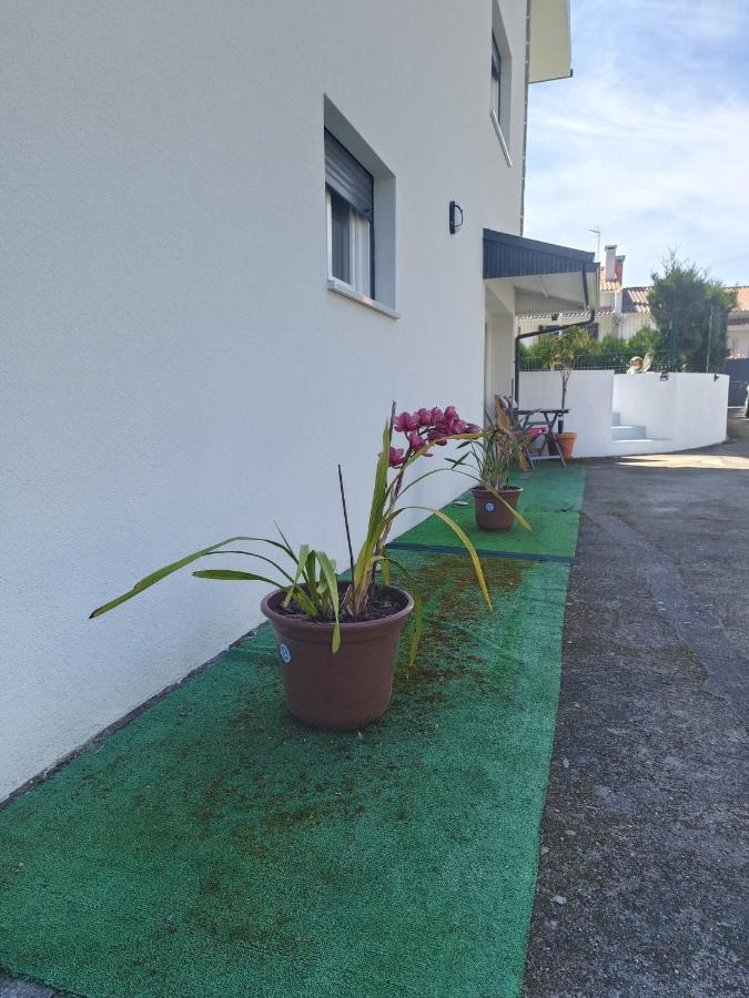 Cabedelo Seaside Guesthouse Виана-ду-Каштелу Экстерьер фото